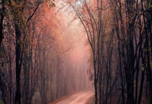 168体育官网:},{img_count":8,"f_docid":"wapkd:887bcecc02002fnps.