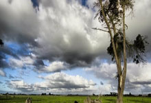 C羅怒摔隊長袖標 告別歐洲杯.